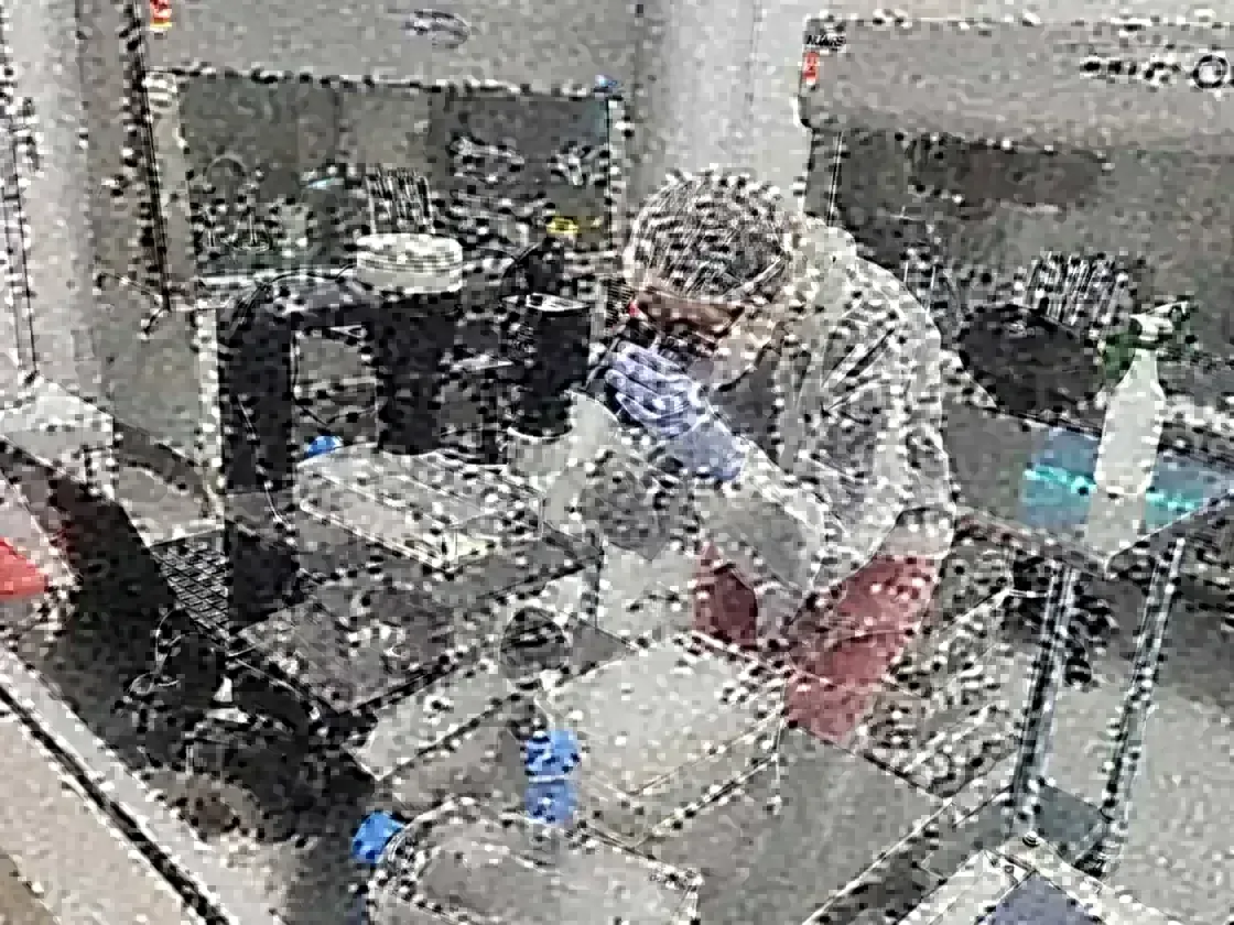 Lab work at a clean bench